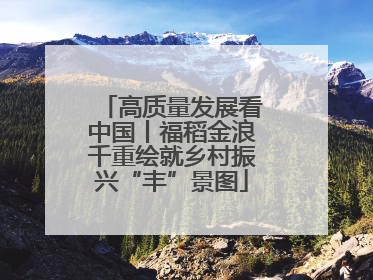 高质量发展看中国丨福稻金浪千重绘就乡村振兴“丰”景图