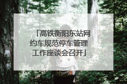 高铁衡阳东站网约车规范停车管理工作座谈会召开