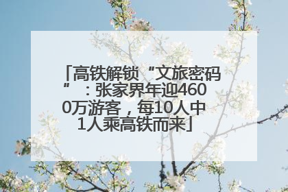 高铁解锁“文旅密码”：张家界年迎4600万游客，每10人中1人乘高铁而来