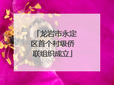 龙岩市永定区首个村级侨联组织成立