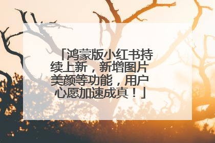 鸿蒙版小红书持续上新，新增图片美颜等功能，用户心愿加速成真！