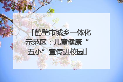 鹤壁市城乡一体化示范区：儿童健康“五小”宣传进校园
