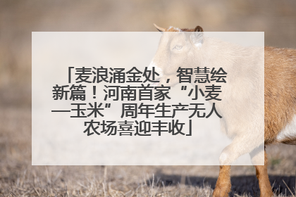 麦浪涌金处，智慧绘新篇！河南首家“小麦—玉米”周年生产无人农场喜迎丰收
