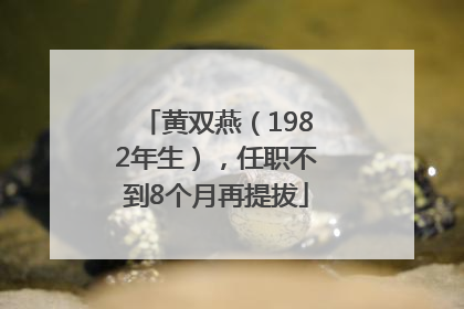 黄双燕（1982年生），任职不到8个月再提拔