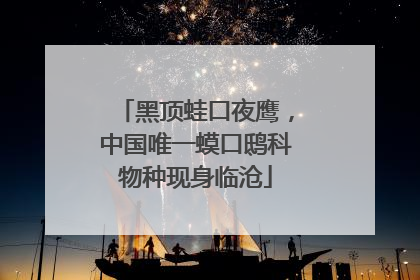 黑顶蛙口夜鹰，中国唯一蟆口鸱科物种现身临沧