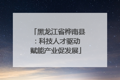 黑龙江省桦南县：科技人才驱动 赋能产业促发展