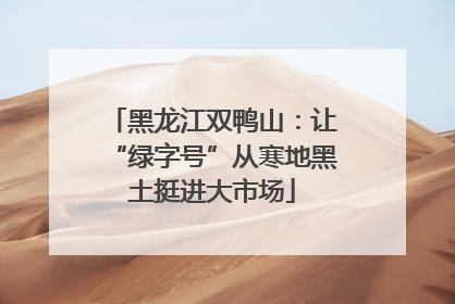 黑龙江双鸭山：让“绿字号”从寒地黑土挺进大市场