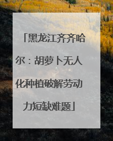 黑龙江齐齐哈尔：胡萝卜无人化种植破解劳动力短缺难题