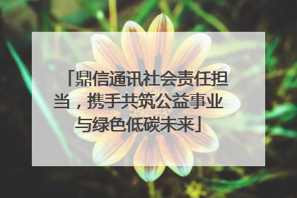 鼎信通讯社会责任担当，携手共筑公益事业与绿色低碳未来