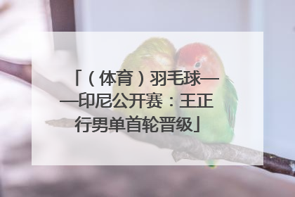 （体育）羽毛球——印尼公开赛：王正行男单首轮晋级