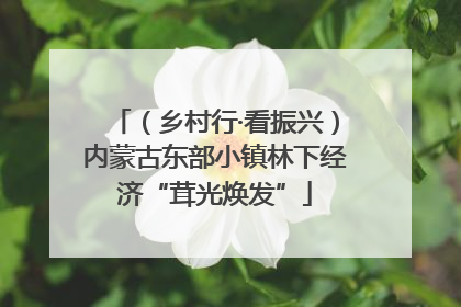 （乡村行·看振兴）内蒙古东部小镇林下经济“茸光焕发”