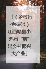 （乡村行·看振兴）江西赣县小鸡蛋“孵”出乡村振兴大产业