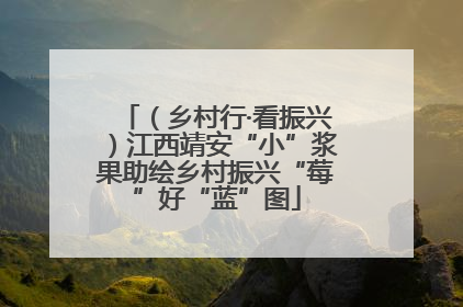 （乡村行·看振兴）江西靖安“小”浆果助绘乡村振兴“莓”好“蓝”图
