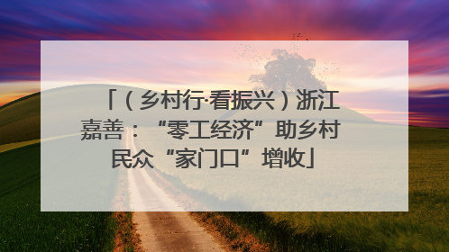 （乡村行·看振兴）浙江嘉善：“零工经济”助乡村民众“家门口”增收