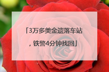3万多美金遗落车站，铁警4分钟找回