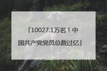 10027.1万名！中国共产党党员总数过亿