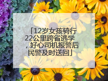 12岁女孩骑行22公里跨省逃学，好心司机报警后民警及时送回