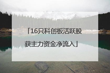 16只科创板活跃股获主力资金净流入