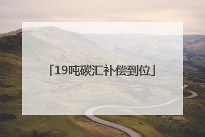 19吨碳汇补偿到位