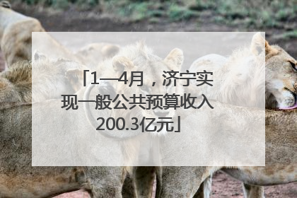 1—4月，济宁实现一般公共预算收入200.3亿元