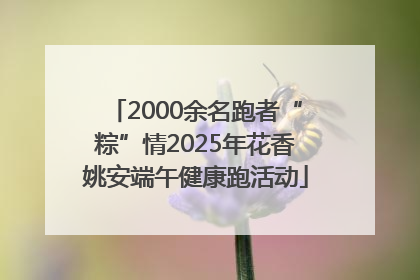 2000余名跑者“粽”情2025年花香姚安端午健康跑活动
