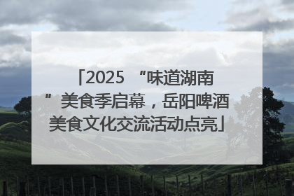2025 “味道湖南”美食季启幕，岳阳啤酒美食文化交流活动点亮