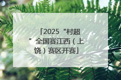 2025“村超”全国赛江西（上饶）赛区开赛