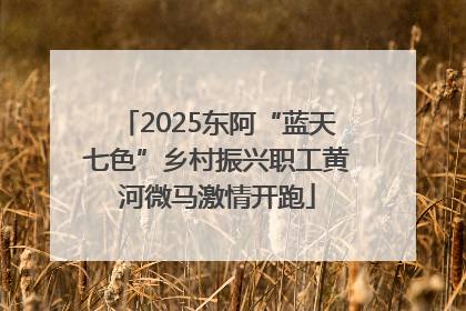 2025东阿“蓝天七色”乡村振兴职工黄河微马激情开跑