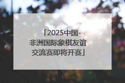 2025中国-非洲国际象棋友谊交流赛即将开赛