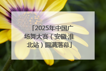 2025年中国广场舞大赛（安徽·淮北站）圆满落幕