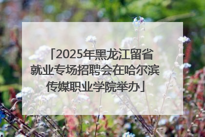 2025年黑龙江留省就业专场招聘会在哈尔滨传媒职业学院举办