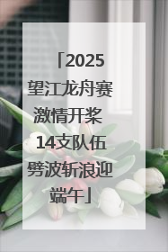 2025望江龙舟赛激情开桨 14支队伍劈波斩浪迎端午