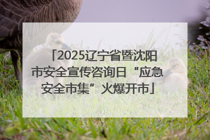 2025辽宁省暨沈阳市安全宣传咨询日“应急安全市集”火爆开市