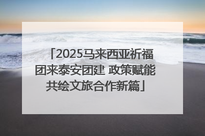 2025马来西亚祈福团来泰安团建 政策赋能共绘文旅合作新篇