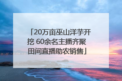 20万亩巫山洋芋开挖 60余名主播齐聚田间直播助农销售