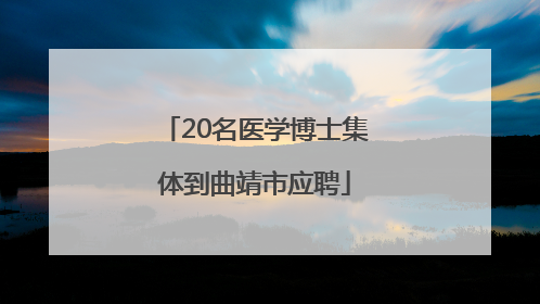 20名医学博士集体到曲靖市应聘