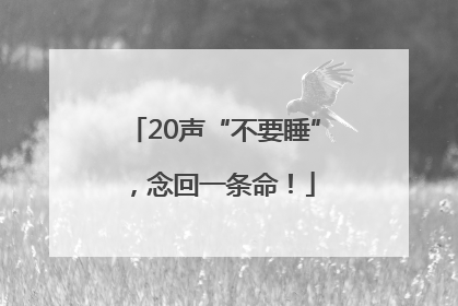 20声“不要睡”，念回一条命！