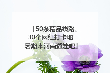 50条精品线路、30个网红打卡地 暑期来河南遛娃吧