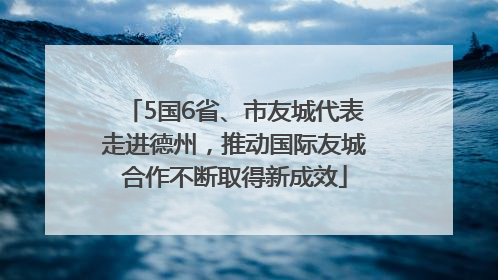5国6省、市友城代表走进德州，推动国际友城合作不断取得新成效
