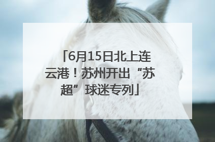 6月15日北上连云港！苏州开出“苏超”球迷专列