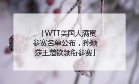 WTT美国大满贯参赛名单公布，孙颖莎王楚钦领衔参赛